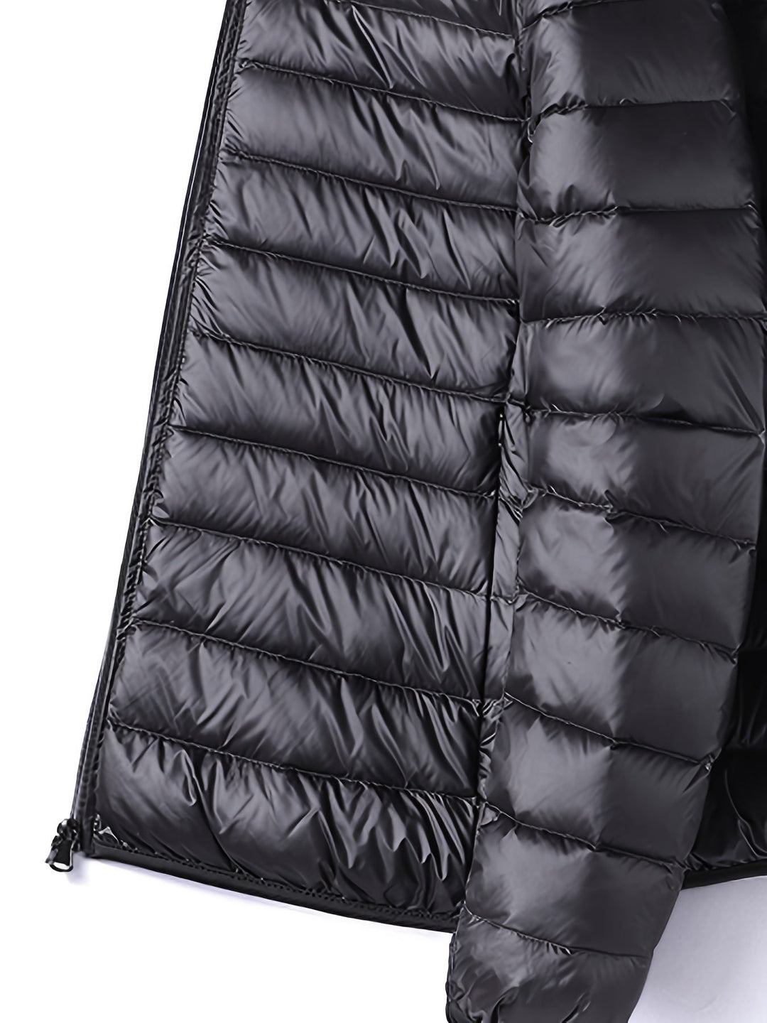 "Glenmore" Padded Jacket